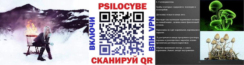 Псилоцибиновые грибы Psilocybine cubensis  Купить  Козьмодемьянск 